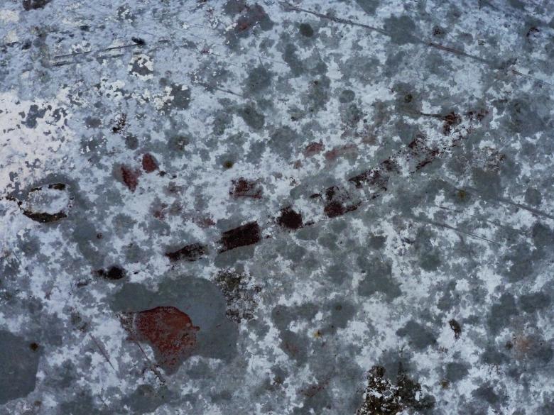 Free stock image of Urban Grunge Texture created by Free Texture Friday