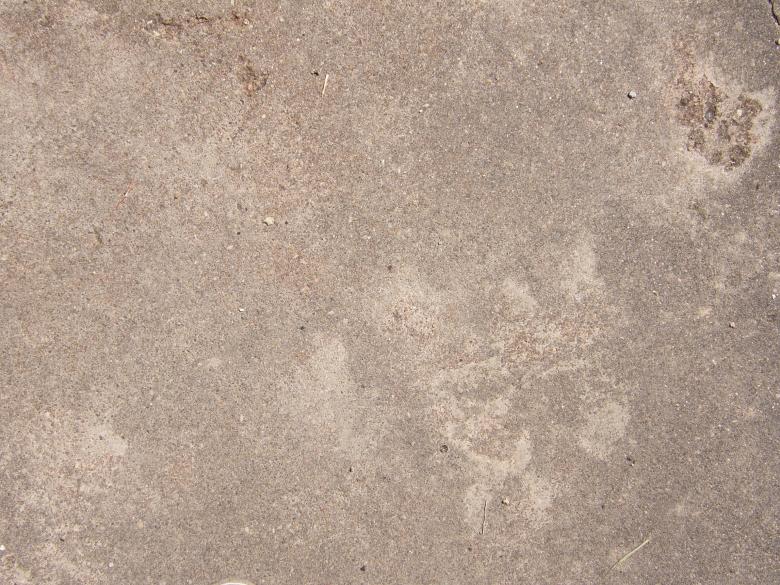 Free stock image of Simple Concrete Texture created by Free Texture Friday