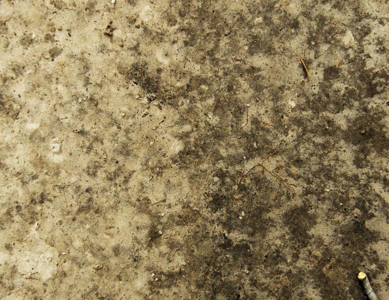 Free stock image of Dirt Texture created by Free Texture Friday