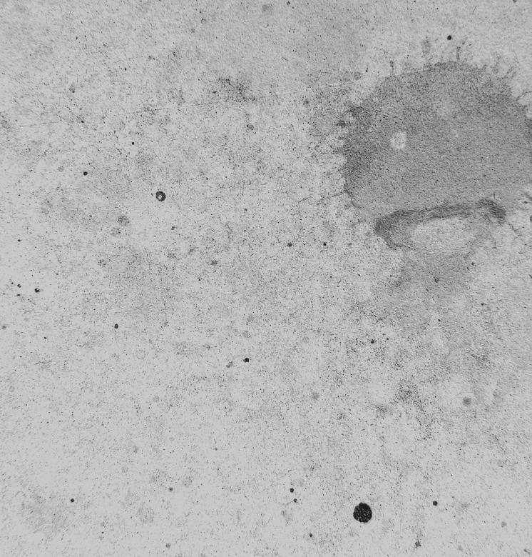 Free stock image of Grey Grunge created by Free Texture Friday
