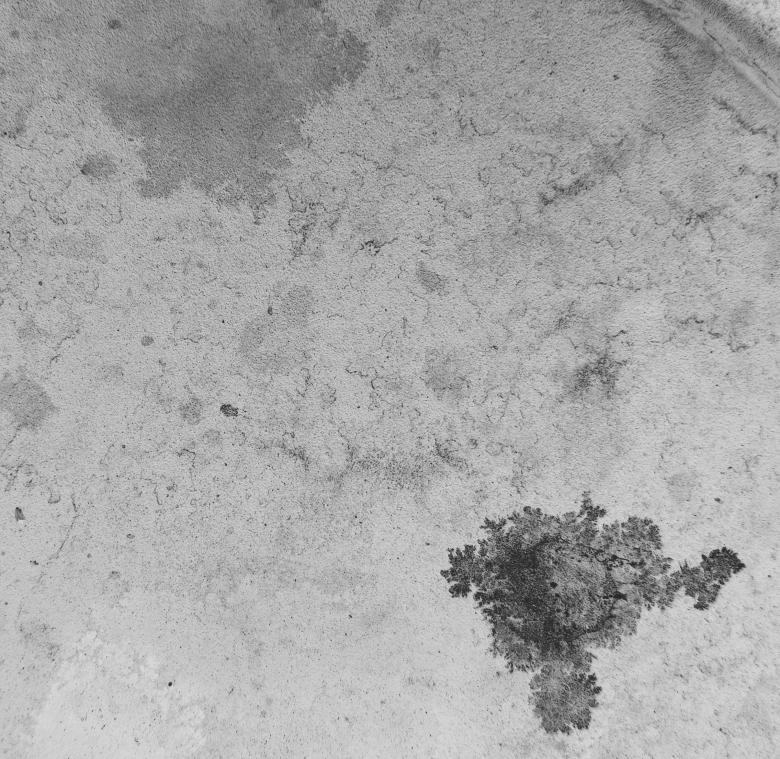 Free stock image of Grey Grunge created by Free Texture Friday
