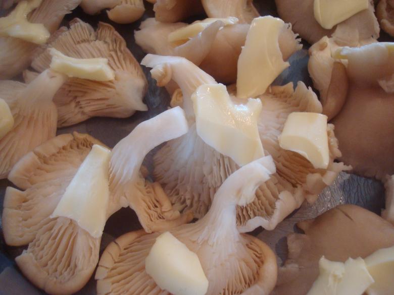 Free stock image of Raw mushrooms with butter created by Boris Kyurkchiev