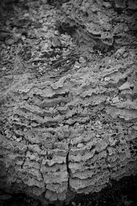 Free stock image of Dry Geothermal Mud Texture created by Free Texture Friday