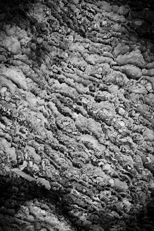 Free stock image of Dry Geothermal Mud Texture created by Free Texture Friday
