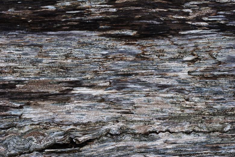 Free stock image of Old Weathered Wood created by Free Texture Friday
