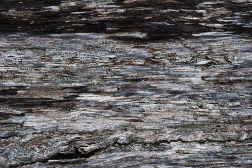 Old Weathered Wood - Free Stock Photo