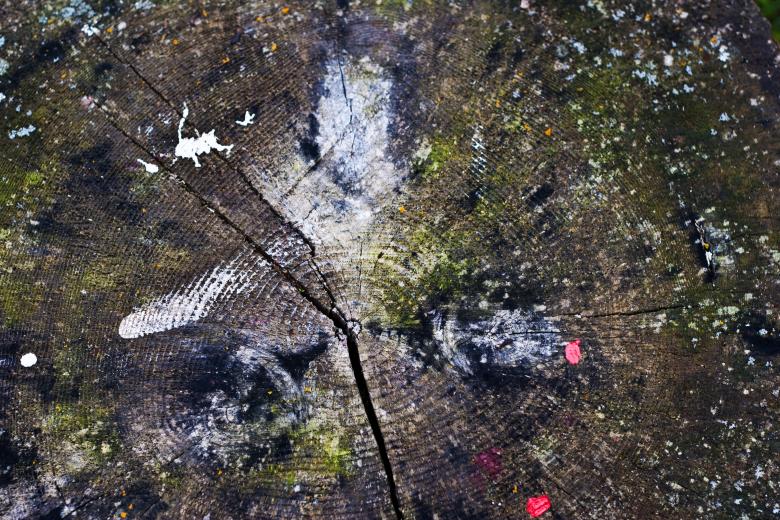 Free stock image of Old Weathered Wood created by Free Texture Friday