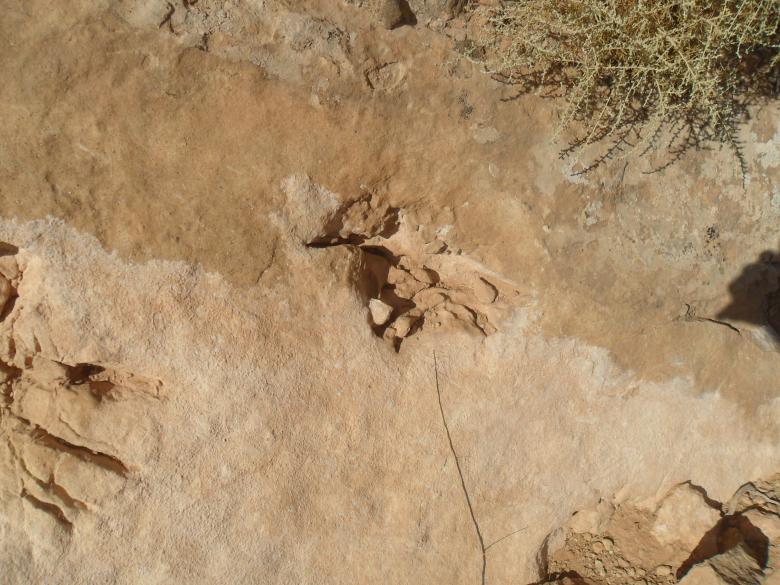 Free stock image of Rocky Landscape created by Ghomrasseni