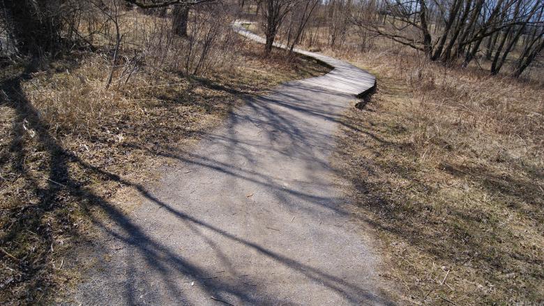 Free stock image of Park Route created by Wasim Baobaid