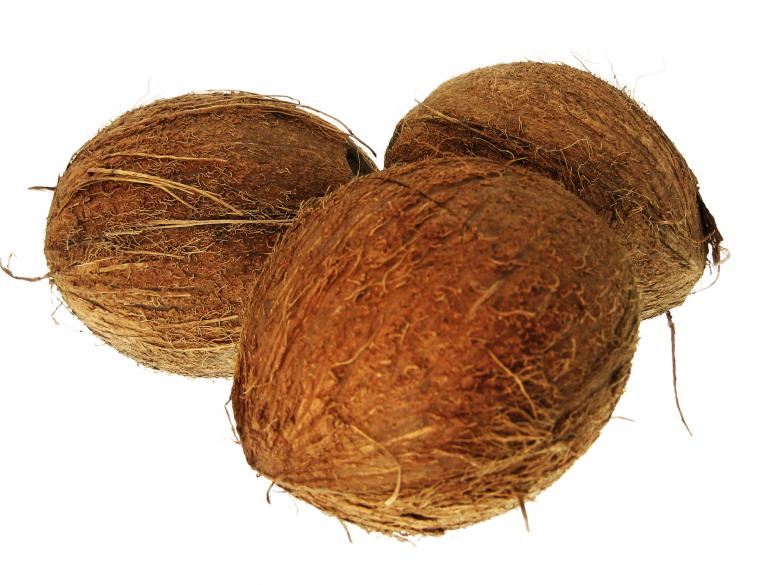 Free stock image of Coconuts created by 2happy