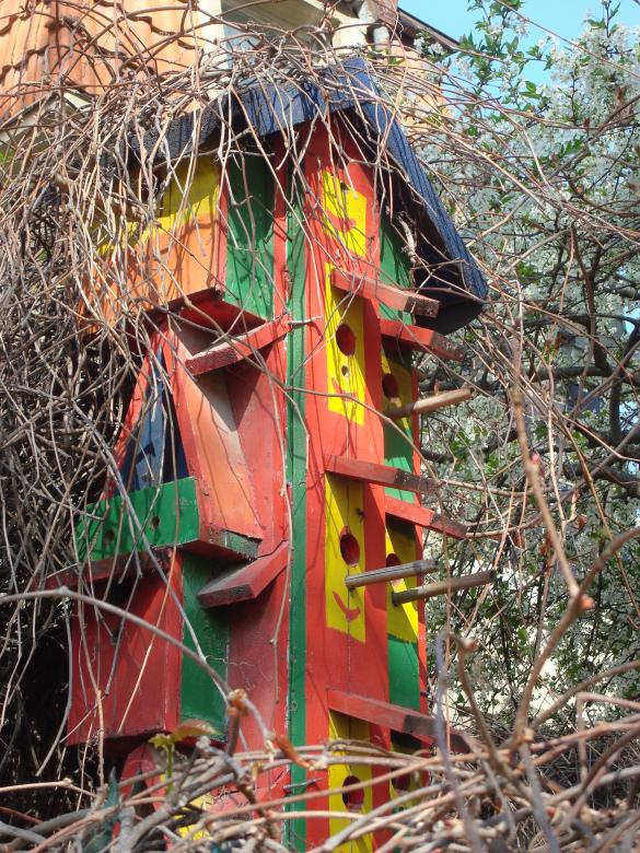 Free stock image of Colorful bird house  created by Boris Kyurkchiev