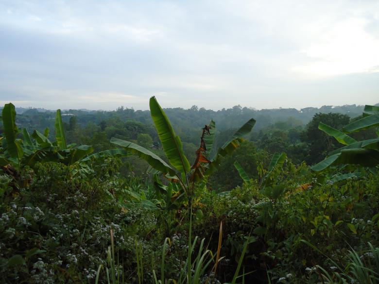 Free stock image of Nature created by Noman Hossain