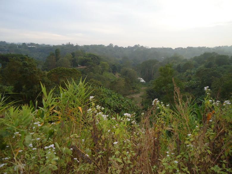 Free stock image of Nature created by Noman Hossain