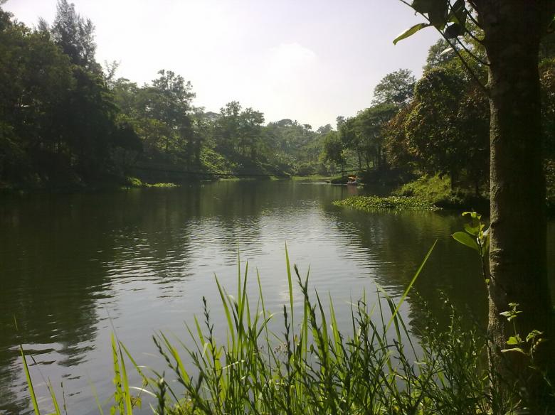 Free stock image of Nature created by Noman Hossain