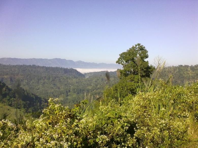 Free stock image of Nature landscape created by Noman Hossain