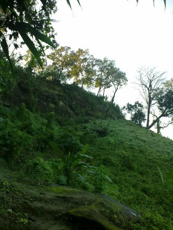 Free stock image of Green Nature created by Noman Hossain