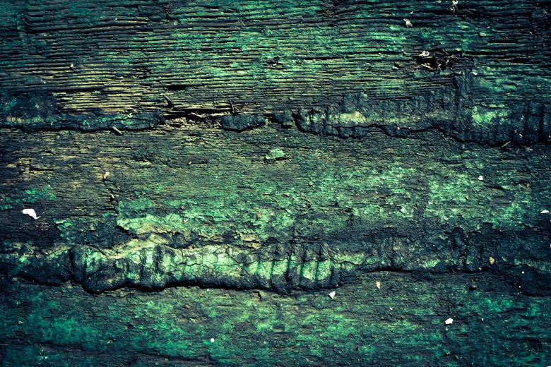 Free stock image of Rotten Wood Texture created by Free Texture Friday
