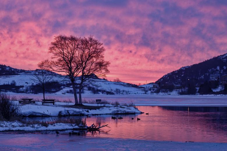 Free stock image of Winter Landscape created by Geoffrey Whiteway