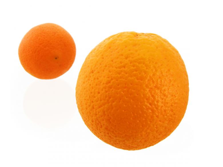 Free stock image of oranges created by 2happy