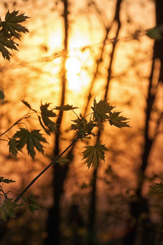 Free stock image of Sunset created by 2happy