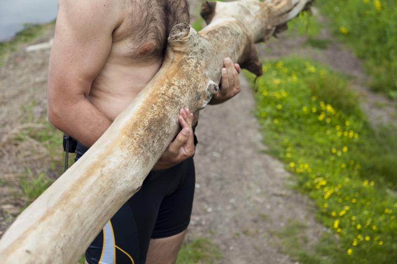 Free stock image of Holding Wood created by Andrei Seleznev