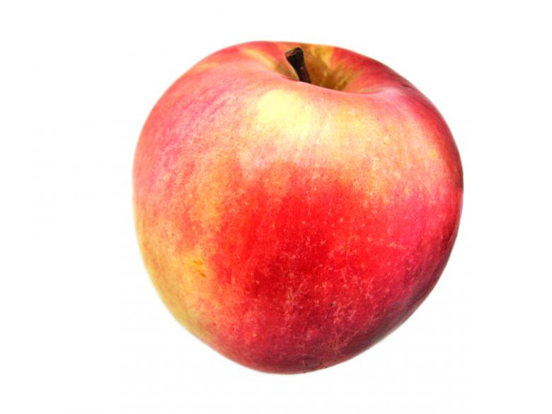 Free stock image of apple created by 2happy