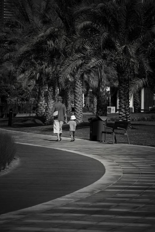 Free stock image of Abu dhabi creek created by nasir rauf