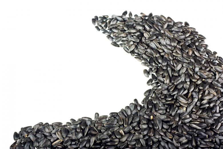 Free stock image of Sunflower seeds created by Valeev