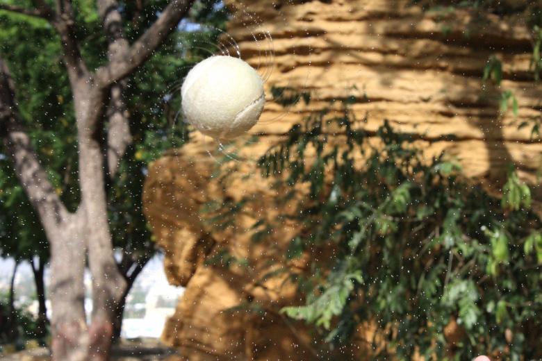 Free stock image of Ball Sprinkling Water created by Mohummad Abdullah