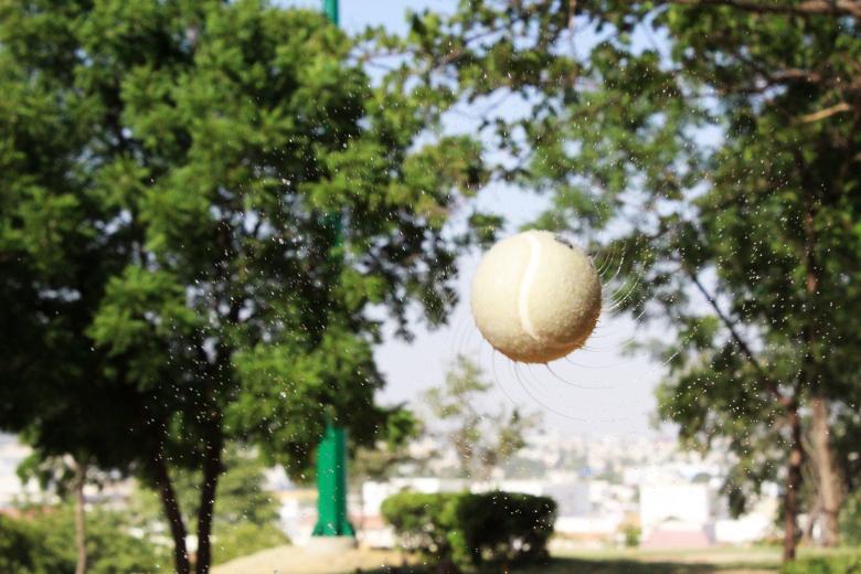 Free stock image of Tennis Ball created by Mohummad Abdullah