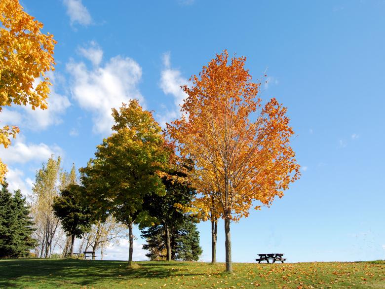 Free stock image of Fall on the Hill created by Donnie Shackleford