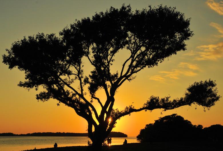 Free stock image of Sunset Shade created by Donnie Shackleford