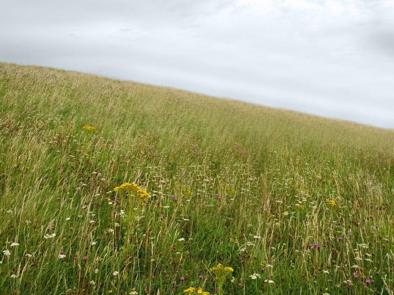 Free stock image of Landscape created by Madhu Badhu