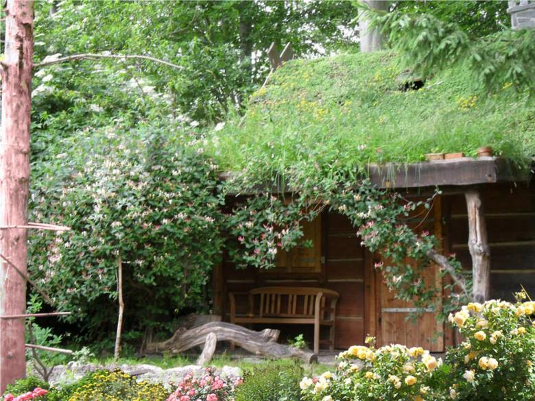 Free stock image of Hagazussa Garden created by Madhu Badhu