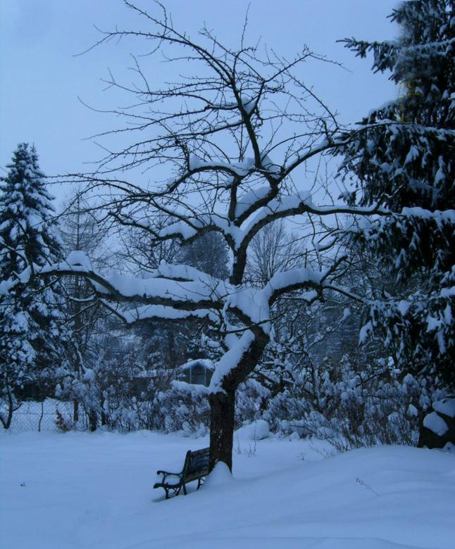Free stock image of Winter Snow created by Madhu Badhu