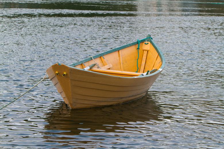 Free stock image of Dory created by Geoffrey Whiteway