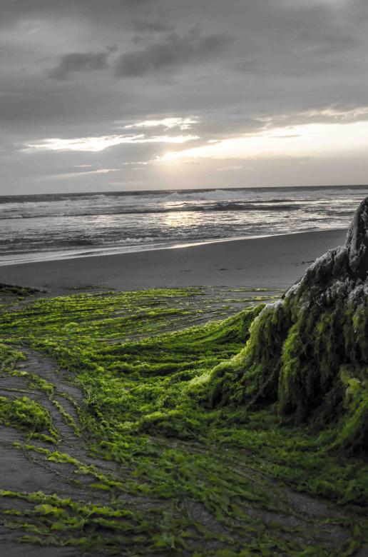 Free stock image of Sea scape  in Kovalam beach created by DEEPU DAS