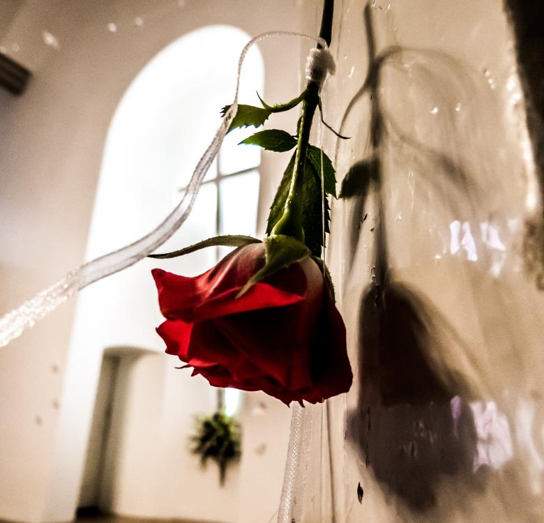 Free stock image of Beautiful weddings decoration created by Janis Urtans
