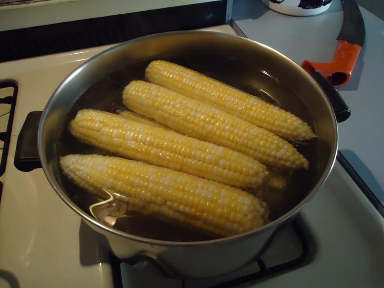 Free stock image of Corn on the cob created by Katharine Sparrow