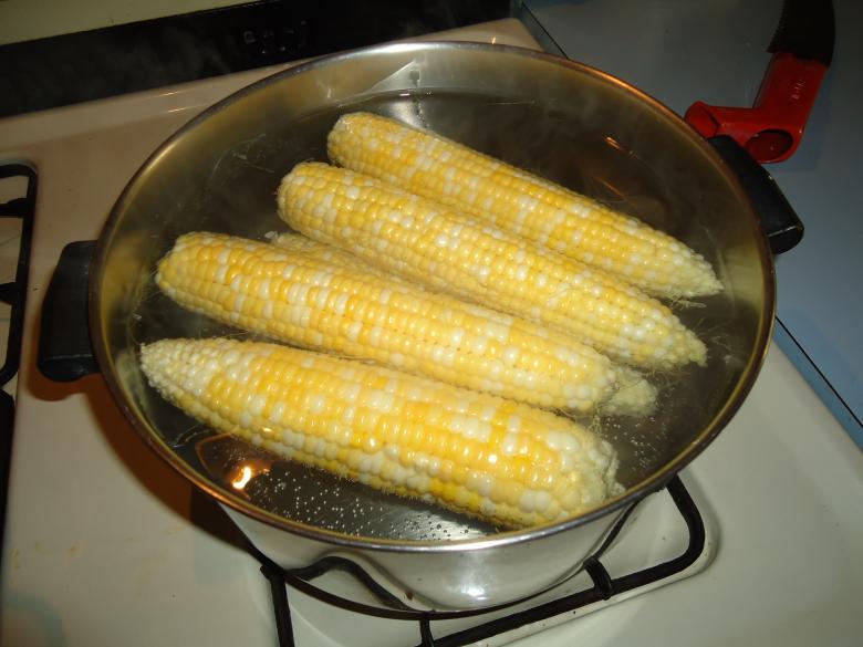Free stock image of Corn on the cob created by Katharine Sparrow