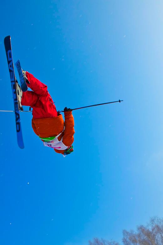 Free stock image of skier  created by skydie