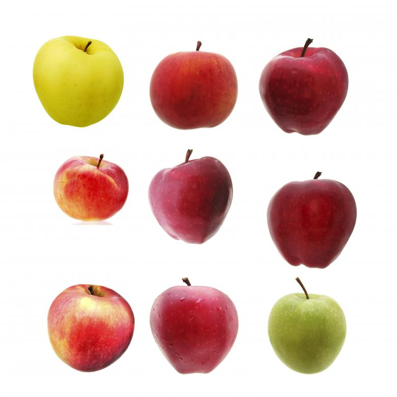 Free stock image of set of apples created by 2happy