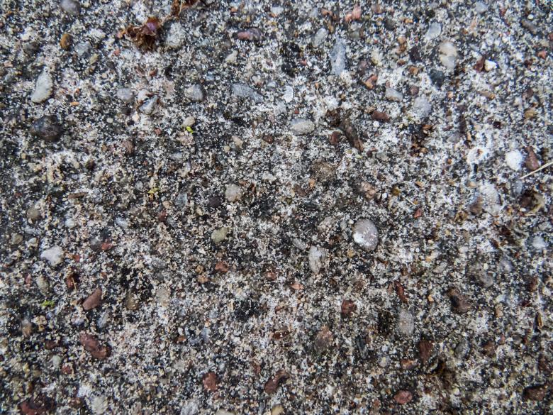 Free stock image of Gravestone texture created by Janis Urtans