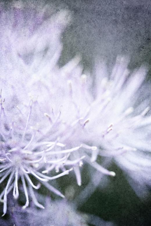 Free stock image of Summer Grunge created by Free Texture Friday