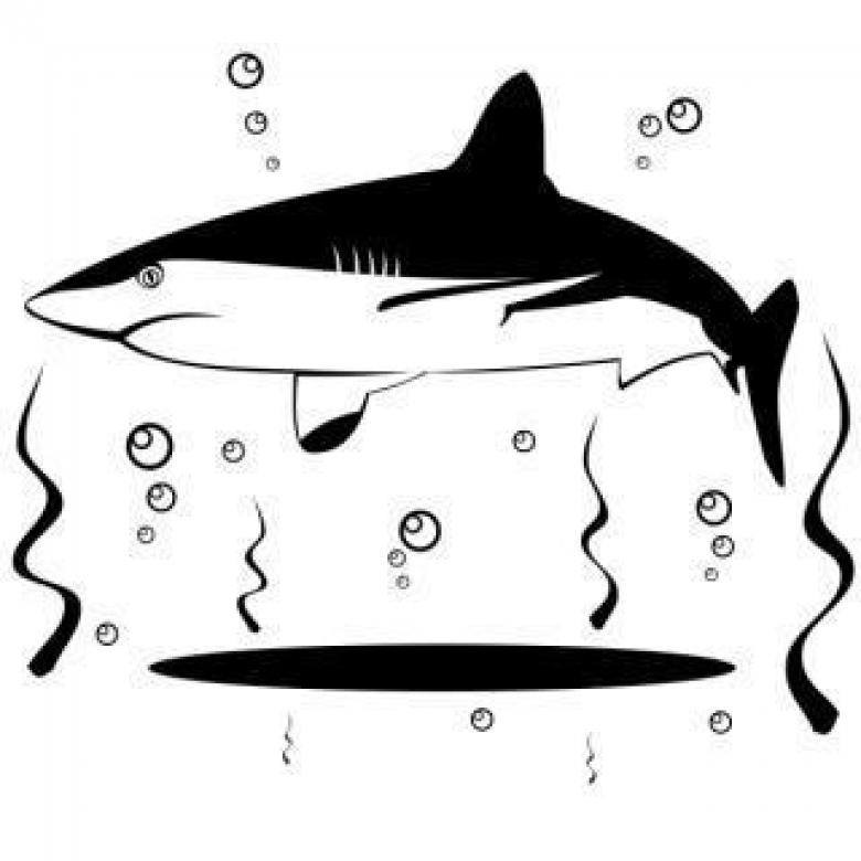 Free stock image of Shark vector created by Ilya N Sedykh
