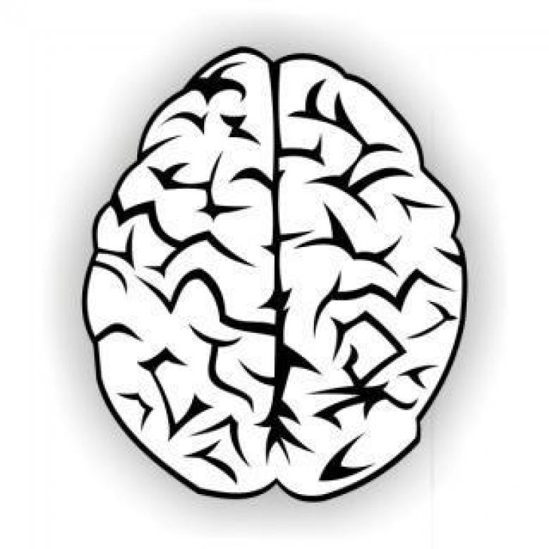 Free stock image of Brain vector created by Ilya N Sedykh