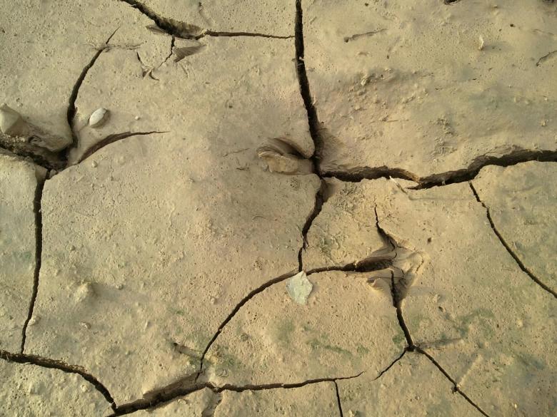 Free stock image of Dry soil created by Matan Reichman