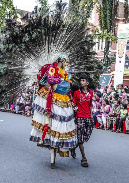 Free stock image of Peacock dressing created by DEEPU DAS
