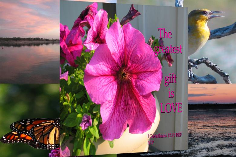 Free stock image of Love Is Greatest Gift created by DFNatureAwed
