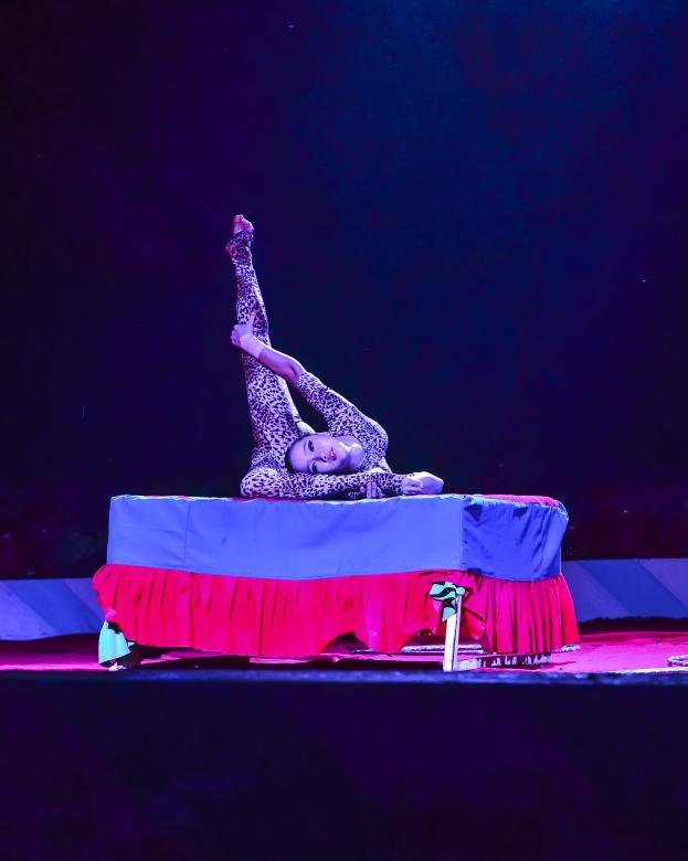 Free stock image of Circus acrobat created by DEEPU DAS